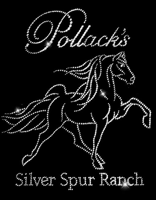 POLLACK’S SILVER SPUR RANCH - Image 2