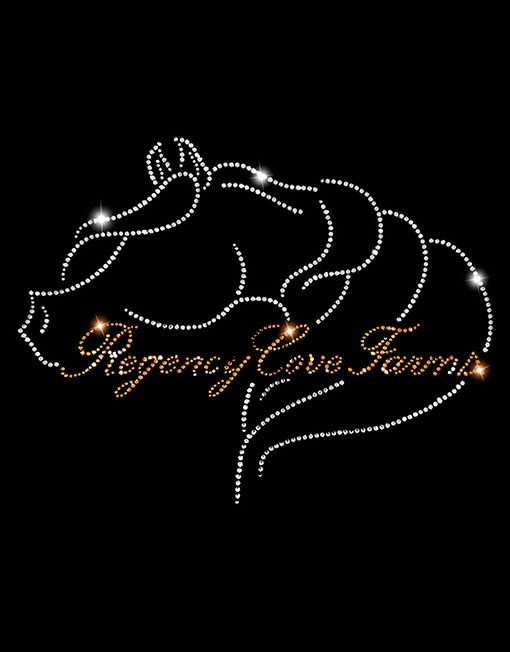 REGENCY COVE ARABIANS - Image 2