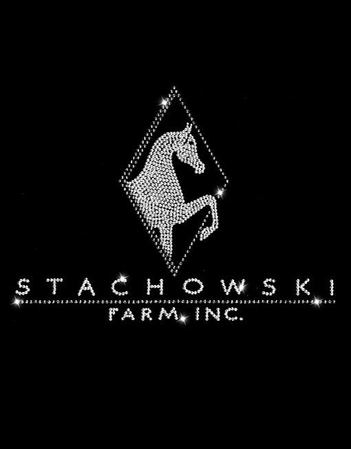 STACHOWSKI FARM - Image 2