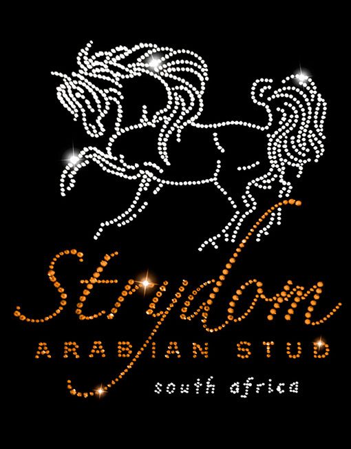 STRYDOM ARABIAN STUD - Image 2