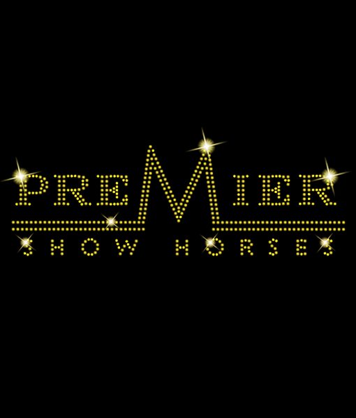 PREMIER SHOW HORSES - Image 2