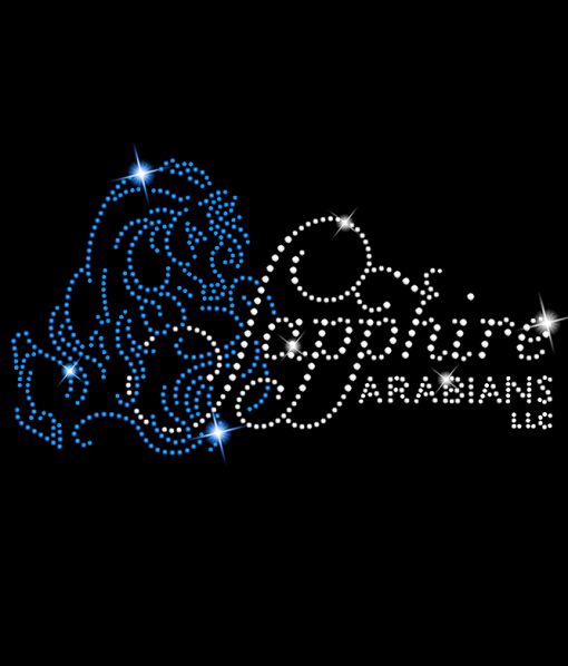 SAPPHIRE ARABIANS - Image 2