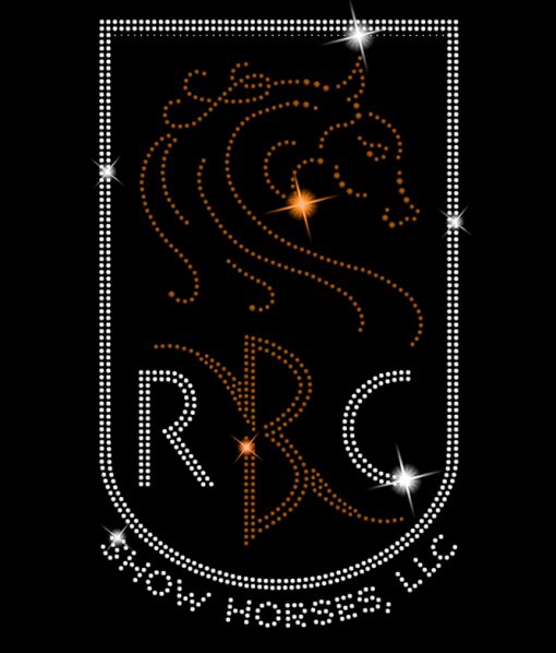 ROB BICK SHOW HORSES - Image 2
